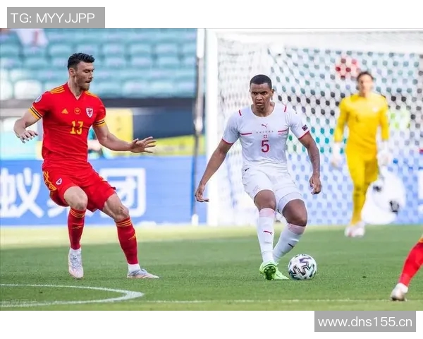 你不知道的欧洲杯:十大冷知识大揭秘